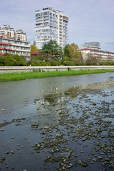 Similar image 21763182