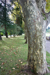 Similar image 21763183