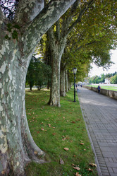 Similar image 21763184