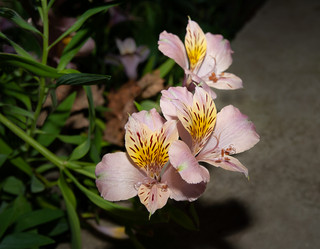 Similar image 21762914