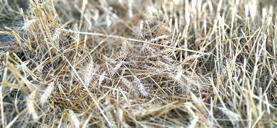 Similar image 21765852