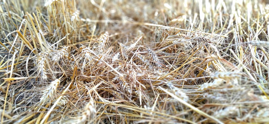 Similar image 21765853