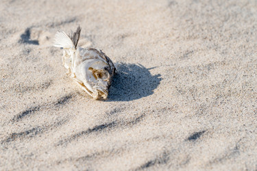 Similar image 21763540