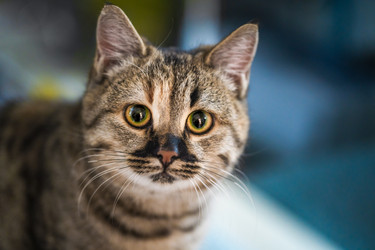 Similar image 21763543