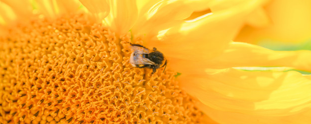 Similar image 21763552