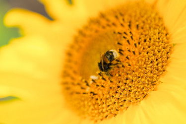 Similar image 21763553