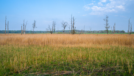 Similar image 21763554