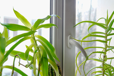 Similar image 21763559