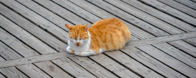 Similar image 21763562