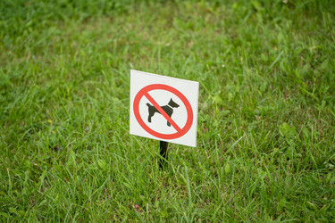 Similar image 21763759