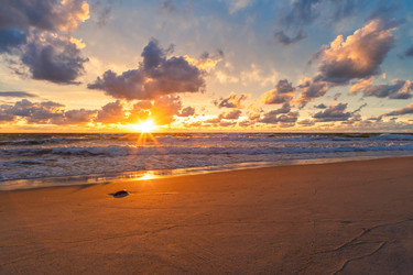 Similar image 21763763