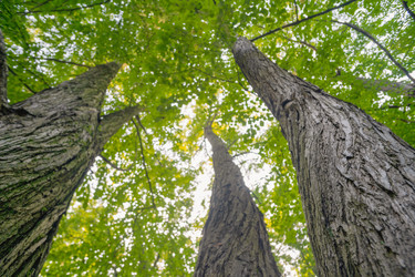 Similar image 21763764