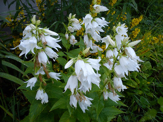 Similar image 21765863