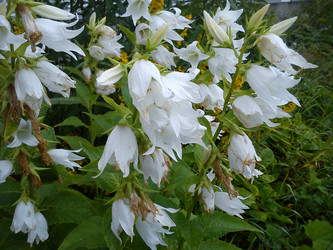 Similar image 21765864