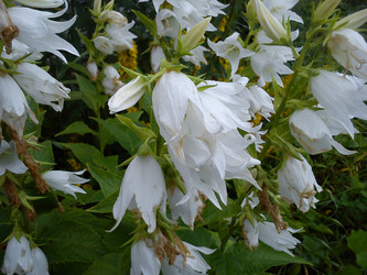 Similar image 21765865