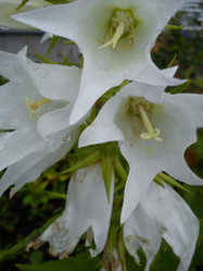 Similar image 21765869