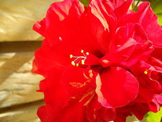 Similar image 21765870