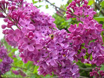 Similar image 21765872