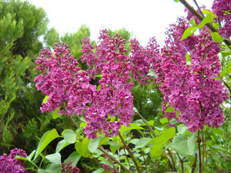 Similar image 21765874