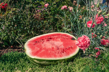 Similar image 21766477