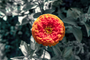 Similar image 21763191