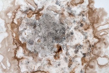 Similar image 21766478