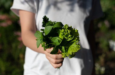 Similar image 21762857