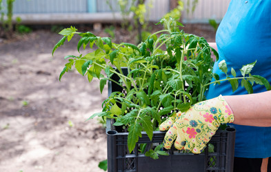 Similar image 21762863