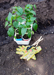 Similar image 21762864