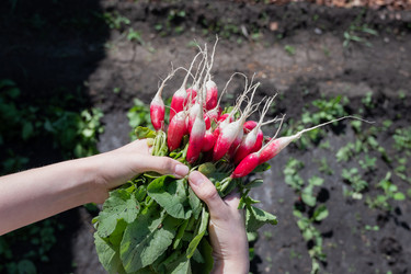 Similar image 21762866