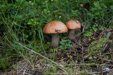 Similar image 21763206