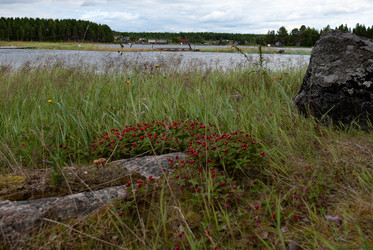 Similar image 21763208