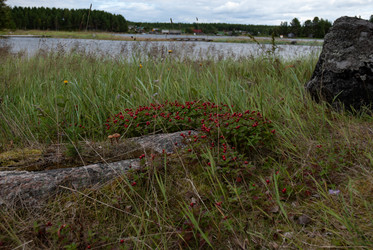 Similar image 21763209