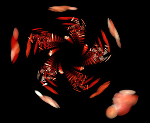 Similar image 21763403