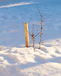 Similar image 21762845