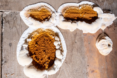 Similar image 21762807