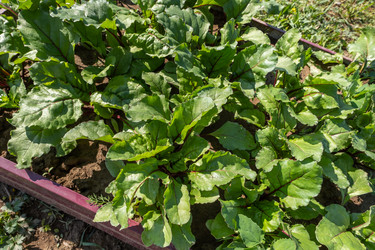 Similar image 21762809