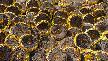 Similar image 21762810