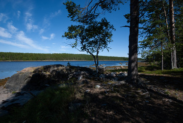 Similar image 21763222