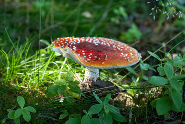 Similar image 21763226