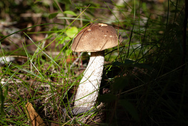 Similar image 21763227