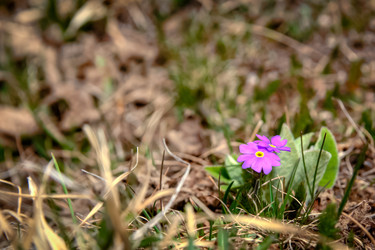 Similar image 21763413