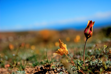 Similar image 21763414