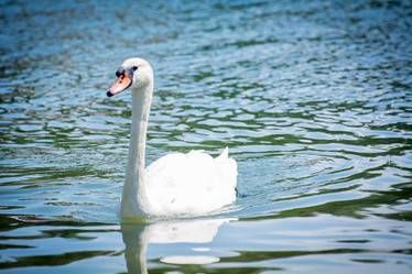 Similar image 21763417