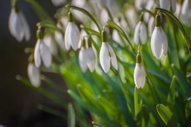 Similar image 21763418