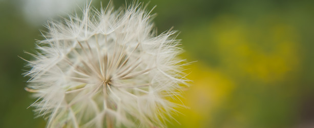 Similar image 21763421