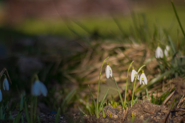 Similar image 21763424