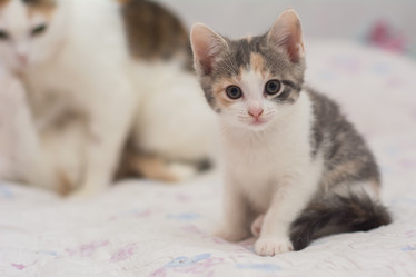 Similar image 21763427