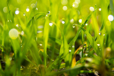 Similar image 21763428