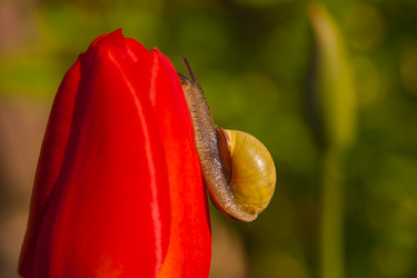 Similar image 21763431